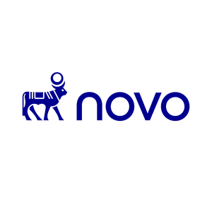 Team Page: Team Novo